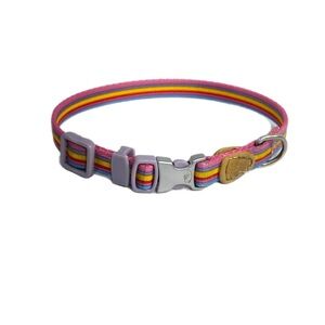 Striped Pastel Rainbow Puppy Small Animal Collar X-Small